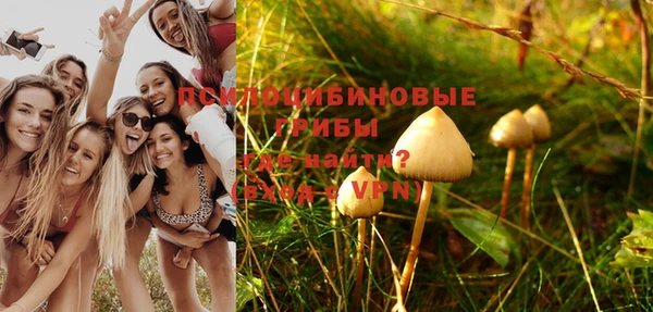 ешки Белокуриха