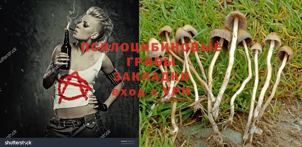 ешки Белокуриха